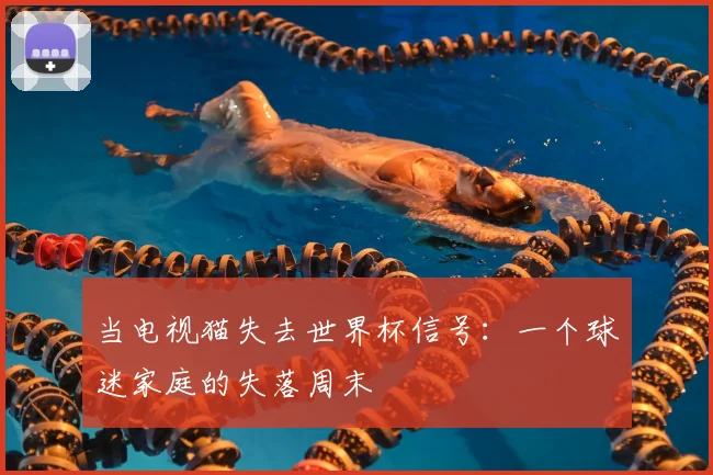 当电视猫失去世界杯信号：一个球迷家庭的失落周末