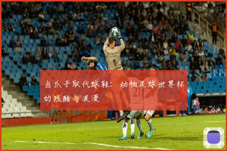 当爪子取代球鞋：动物足球世界杯的残酷与浪漫