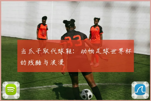 当爪子取代球鞋：动物足球世界杯的残酷与浪漫