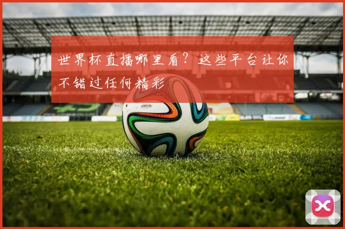 世界杯直播哪里看？这些平台让你不错过任何精彩
