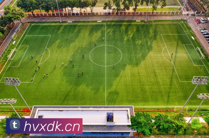 乐鱼官网在线登录APP 封面图